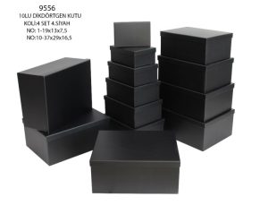 9556 KUTU  S/10